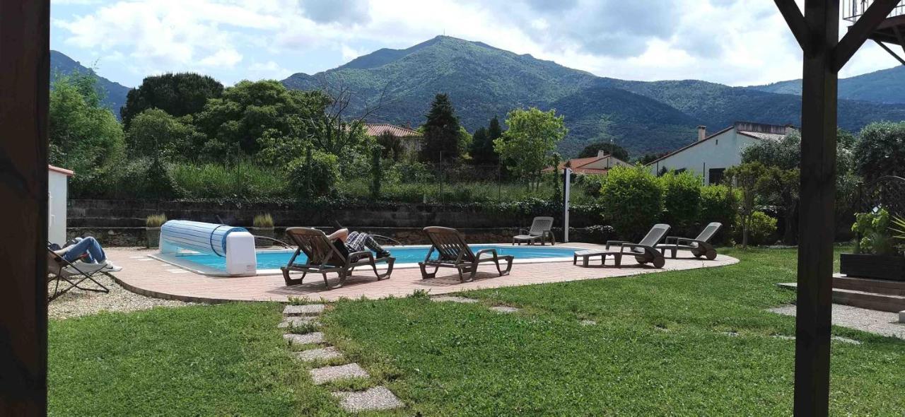 Chambres D'Hotes Et Gites Al Pati Sorède Exteriér fotografie